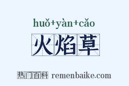 火焰草是什么意思的图片